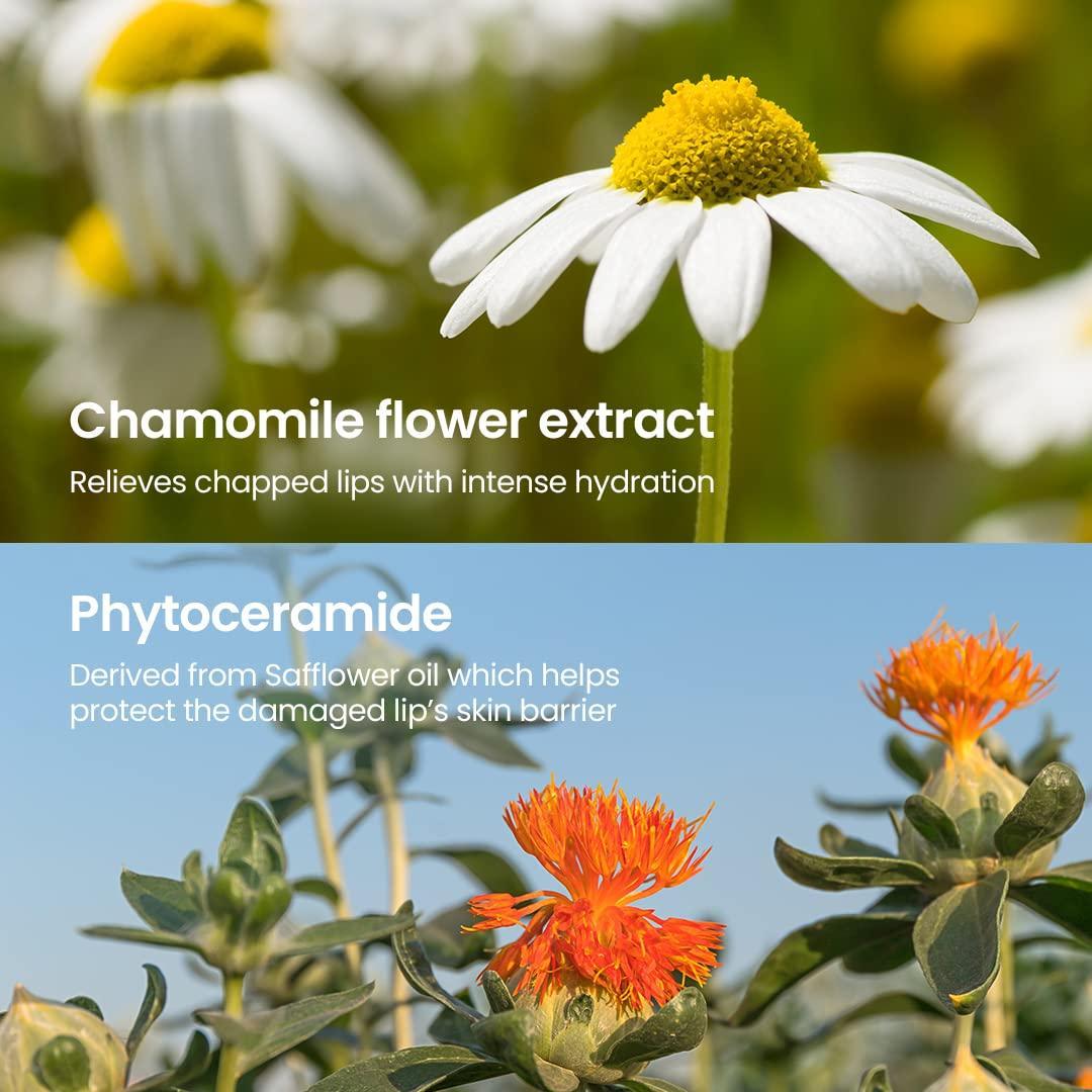 Beplain Camomile Dual Moisturizing Lip Balm 3.6g